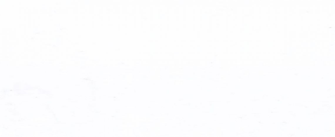 ZB 1000-2_0.40*1400