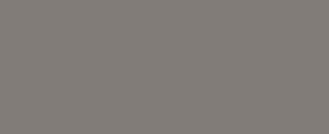 ZB 855-2_0.25*1400